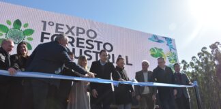 DESDE ITUZAINGÓ CORRIENTES La UNNE se muestra en la 1° Expo Foresto Industrial
