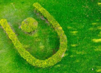 GESTIÓN Y COMPROMISO SOCIAL La UNNE presentó su proyecto EcoCampus 2030 ante la Red Argentina de Universidades por la Sustentabilidad y el Ambiente