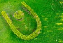 EN EL MARCO DEL PROGRAMA NACIONAL Carbono neutro en universidades: la UNNE releva el impacto ambiental de sus actividades