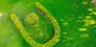 EN EL MARCO DEL PROGRAMA NACIONAL Carbono neutro en universidades: la UNNE releva el impacto ambiental de sus actividades