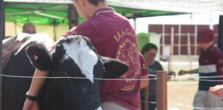 LA RURAL 2023 La UNNE marca presencia en la 87° Exposición Rural de Ganadería, Agricultura, Granja, Industria y Comercio