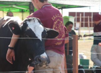 LA RURAL 2023 La UNNE marca presencia en la 87° Exposición Rural de Ganadería, Agricultura, Granja, Industria y Comercio