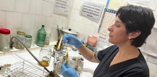 NUEVOS CONOCIMIENTOS Antibióticos en piscicultura: la delgada línea entre crecimiento y resistencia bacteriana