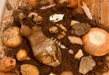 CENTRO CULTURAL UNIVERSITARIO Ñe’ẽ Raity, la nueva exposición de la Sala del Sol