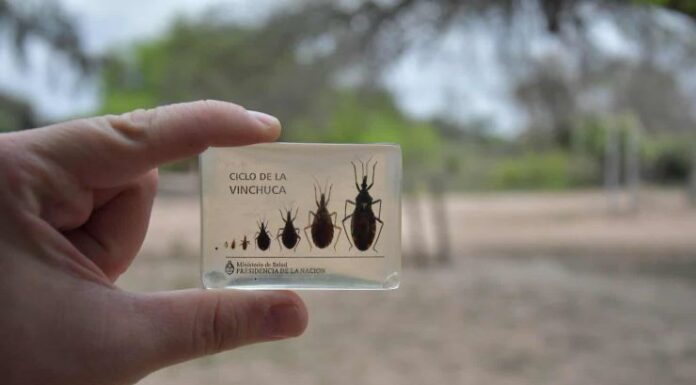 FARMACOLOGIA Con aporte científico de la UNNE desarrollan una vacuna nasal para tratar el Chagas