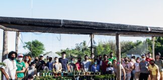 Extensión Universitaria Junto a una EFA, universitarios proponen ideas para el uso sustentable de especies nativas