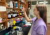 Indagarán los niveles de toxicidad de plantas medicinales del NEA usadas por la población