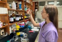 Indagarán los niveles de toxicidad de plantas medicinales del NEA usadas por la población