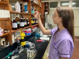 Indagarán los niveles de toxicidad de plantas medicinales del NEA usadas por la población