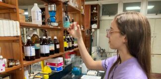 NUEVOS CONOCIMIENTOS Indagarán los niveles de toxicidad de plantas medicinales del NEA usadas por la población
