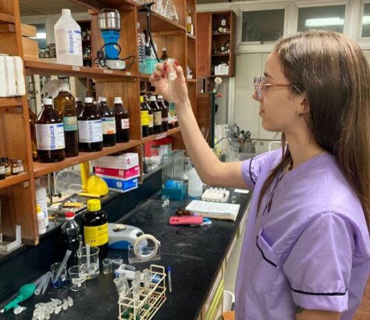 Indagarán los niveles de toxicidad de plantas medicinales del NEA usadas por la población
