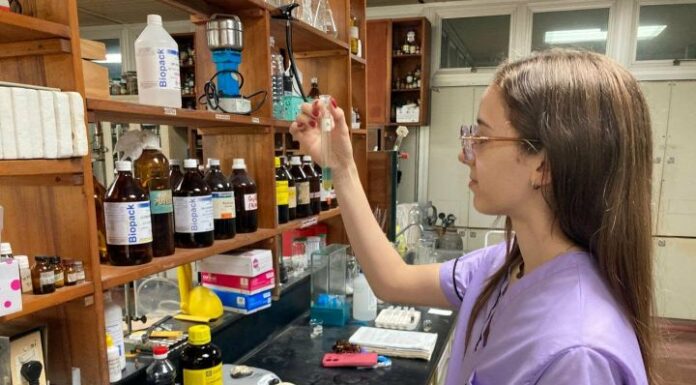 NUEVOS CONOCIMIENTOS Indagarán los niveles de toxicidad de plantas medicinales del NEA usadas por la población