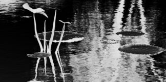 ESPACIO PLASMA “Cuando ya no queda nada», la nueva expo fotográfica en el CCU