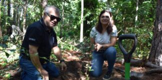 FUERON PLANTADOS EN LA ZONA DE RESERVA Recuperación de montes nativos en Santa Ana: FaCENA donó más de 20 especies
