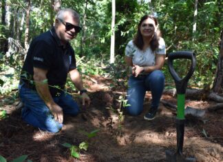 FUERON PLANTADOS EN LA ZONA DE RESERVA Recuperación de montes nativos en Santa Ana: FaCENA donó más de 20 especies