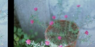 ESPACIO PLASMA “Lo que más me gusta de la fotografía, es que podes detener el tiempo y hacer que un momento efímero se convierta en uno trascendente”