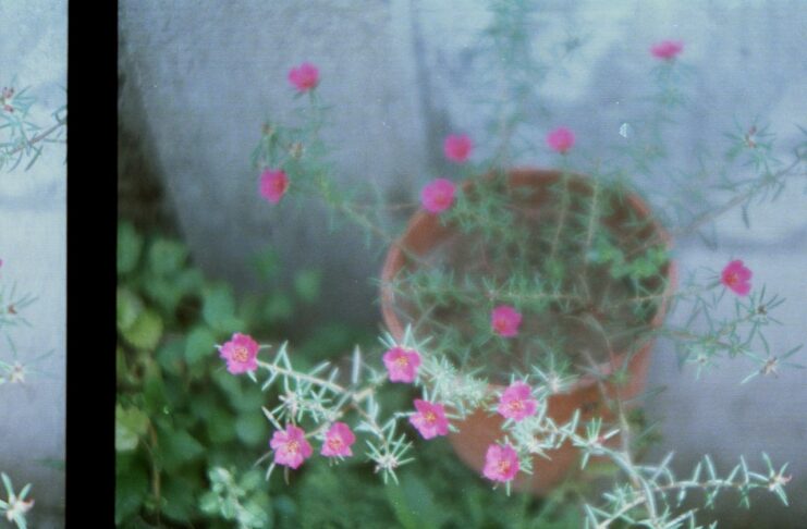 “Lo que más me gusta de la fotografía, es que podes detener el tiempo y hacer que un momento efímero se convierta en uno trascendente”