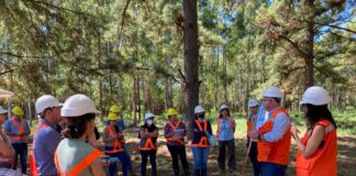 Profesionales vinculados a las Ciencias Agrarias se especializan en Mejoramiento genético y Vivero forestal con impronta ambiental