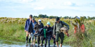 PREMIO UNNE PARA LAS ARTES VISUALES Reflexiones sobre el paisaje: un encuentro cara a cara con las raíces para una mayor conciencia ambiental