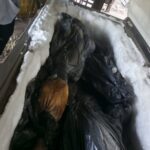 WhatsApp Image 2022-05-23 at 10.46.06 AM