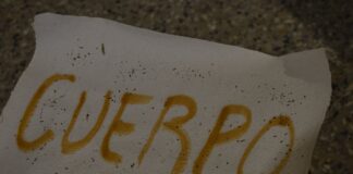 Sala del Sol “Me gustaría que las personas que entren a la sala tengan una experiencia estética”