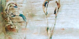 Nueva Exposición “Arde” una muestra que nos invita a reflexionar sobre el cuidado del medio ambiente