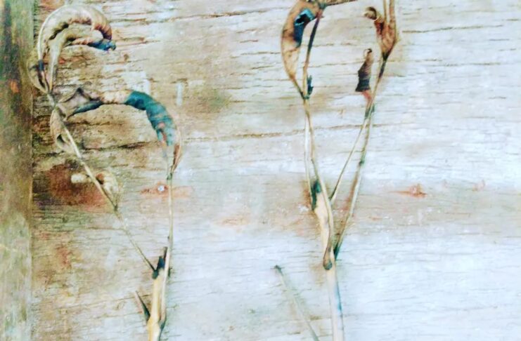 “Arde” una muestra que nos invita a reflexionar sobre el cuidado del medio ambiente