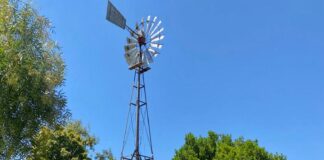 FaCENA Bioquímicos brindan atención primaria en una escuela del interior de Santa Fe