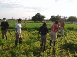 «Vamos a reforzar las áreas de campo para poder aumentar la producción»