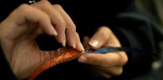 Centro Cultural Universitario Taller de Cine sin cámara” impartido por Juan Ignacio Slobayen