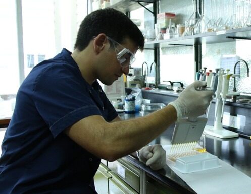 FaCENA Con subsidio internacional se avanza en el estudio de nuevos adyuvantes de uso veterinario aplicado a la producción de antiveneno