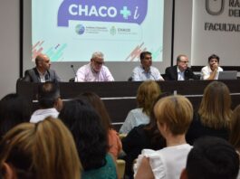Becas Chaco+i: grupos de investigación de la UNNE incorporarán estudiantes universitarios que quieran dar sus primeros pasos en ciencia
