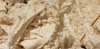 EN EL MARCO DE LA MUESTRA "COSA É MONDONGO" Charla con  Lucrecia Masson Córdoba autora del libro “Epistemología Rumiante” FOTOGRAFÍA CARLA MELISA