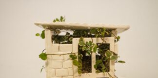 EN EL MARCO DE LA FERIA DE ARTE CONTEMPORÁNEO DE CORRIENTES Malezas y trepadoras: arte para escarbar en el mundo cotidiano