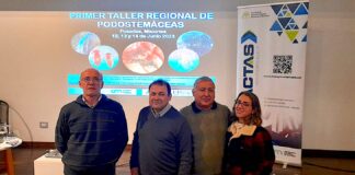 EN POSADAS Investigadores de FaCENA participaron de un taller en la Universidad de Misiones