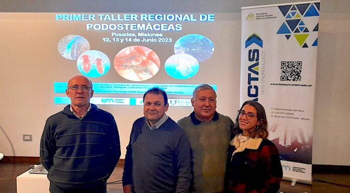 EN POSADAS Investigadores de FaCENA participaron de un taller en la Universidad de Misiones