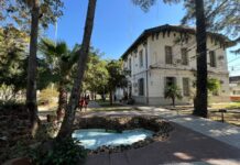 La UNNE obtuvo la máxima categoría para su Doctorado en Ciencias Veterinarias