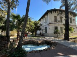 La Especialización en Diagnóstico Anatomohistopatológico Veterinario obtuvo la máxima acreditación de la CONEAU