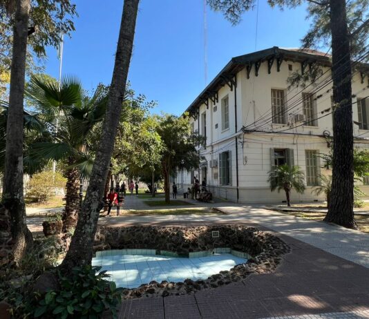 La Especialización en Diagnóstico Anatomohistopatológico Veterinario obtuvo la máxima acreditación de la CONEAU