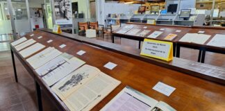 Actividades 8M La Dirección General de Bibliotecas se suma a los homenajes por el Día Internacional de la Mujer