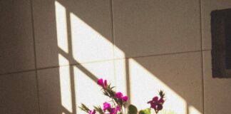 ESPACIO PLASMA “Archivo de luz” de Lara Flier en el Espacio Plasma