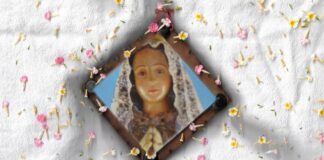 CENTRO CULTURAL UNIVERSITARIO Último Espacio Plasma del año con el work in progress de las tesinas de la Lic en Artes Combinadas