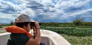 VIAJE DE ESTUDIO Docentes y estudiantes de FaCENA visitaron los Esteros del Iberá