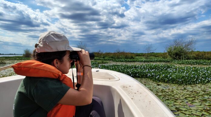 VIAJE DE ESTUDIO Docentes y estudiantes de FaCENA visitaron los Esteros del Iberá