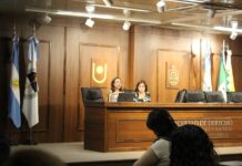 PERSPECTIVA DE GÉNERO A 30 años de la plataforma de acción de Beijing, en marzo comienza en la UNNE un curso sobre derechos de las mujeres