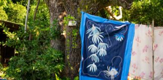 SALA DEL SOL El CCU inaugura el año con una exposición de artistas regionales