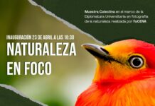 Fotografías de diplomatura de FaCENA se exponen en el espacio plasma del CCU UNNE