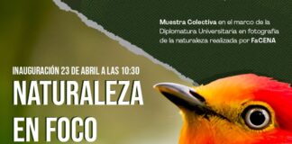 Fotografías de diplomatura de FaCENA se exponen en el espacio plasma del CCU UNNE