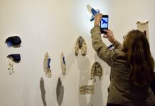 UNIVERSO GUARANI Ñe’ẽ Raity anida en el CCU