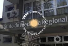 A partir de extractos vegetales, obtienen compuestos bioactivos con capacidad antimicrobiana